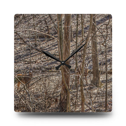 U R There Photography Three Does of Dryden Rustic Farmhouse Acrylic Analog Wall Clock