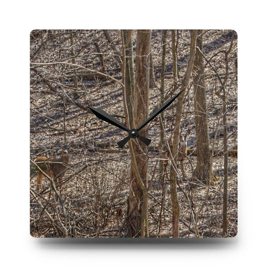Three Does of Dryden Rustic Farmhouse Acrylic Analog Wall Clock 10.75'' × 10.75'' (Square)