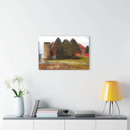 U R There Photography Laur Road Red Among the Pines III Rustic Farmhouse Acrylic Wall Print