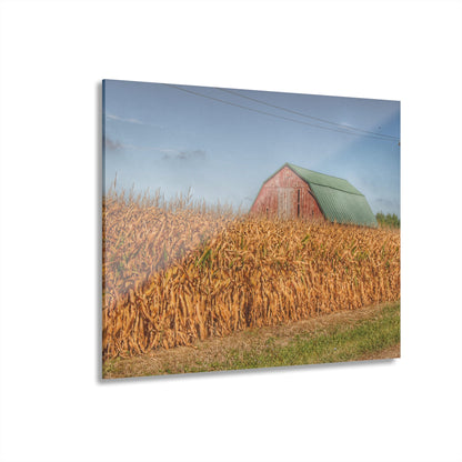 U R There Photography Beyond the Harvest Corn I Rustic Farmhouse Acrylic Wall Print