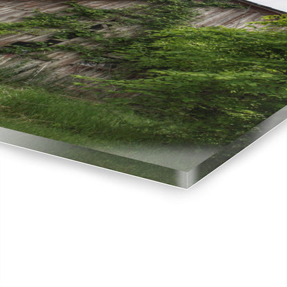 U R There Photography Imlay Hidden Rustic Farmhouse Acrylic Wall Print