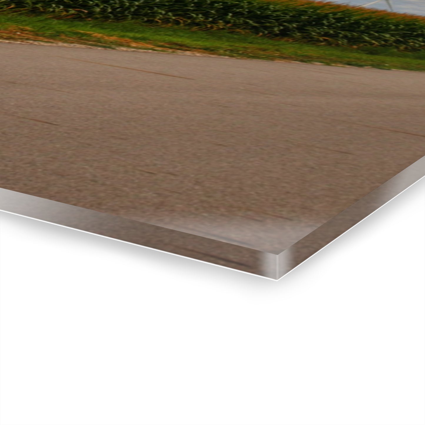 U R There Photography Gilford Road Corn Row Rustic Farmhouse Acrylic Wall Print