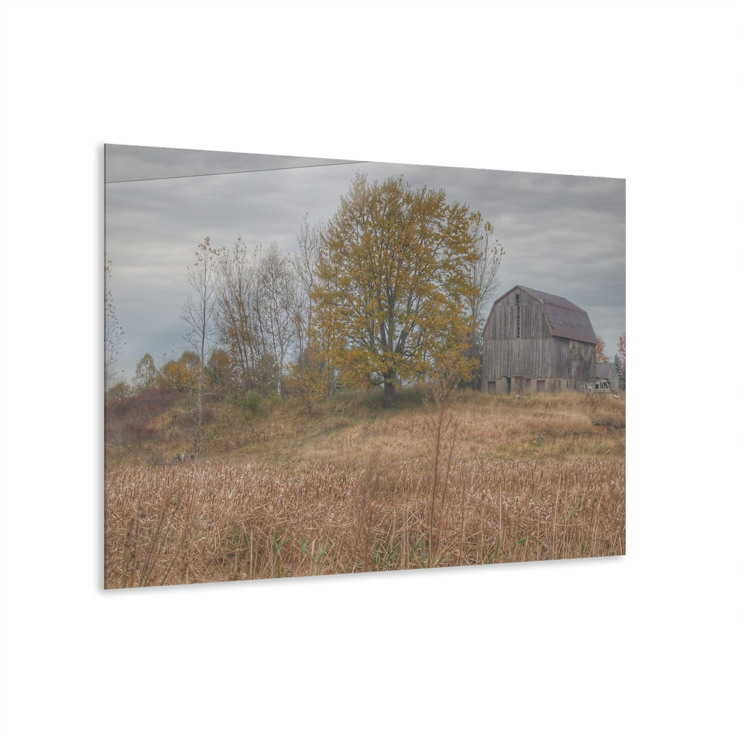 U R There Photography Swaffer Road Hilltop Grey Rustic Farmhouse Acrylic Wall Print