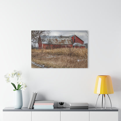U R There Photography Edward Road Reds Rustic Farmhouse Acrylic Wall Print
