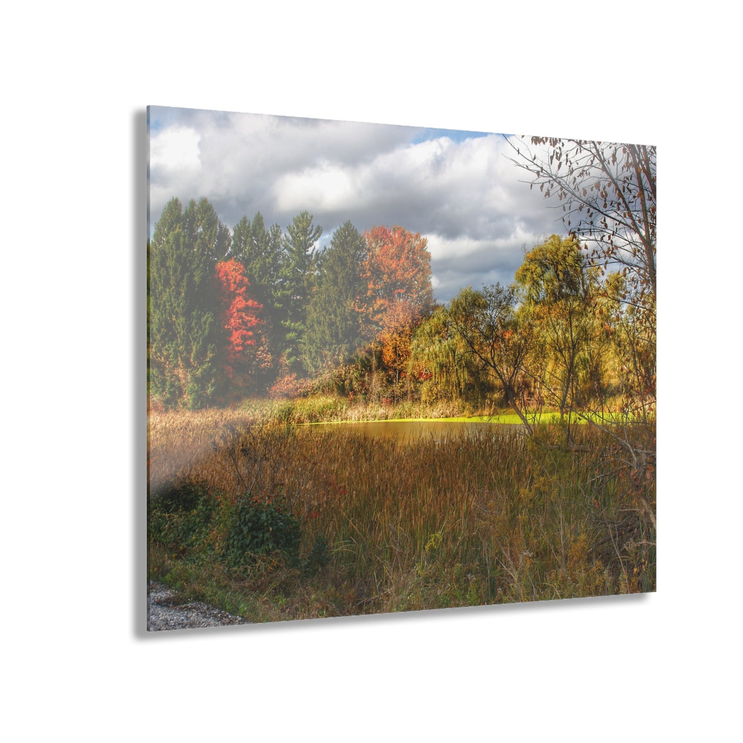 U R There Photography Fall Pond on Sutton Road Rustic Farmhouse Acrylic Wall Print