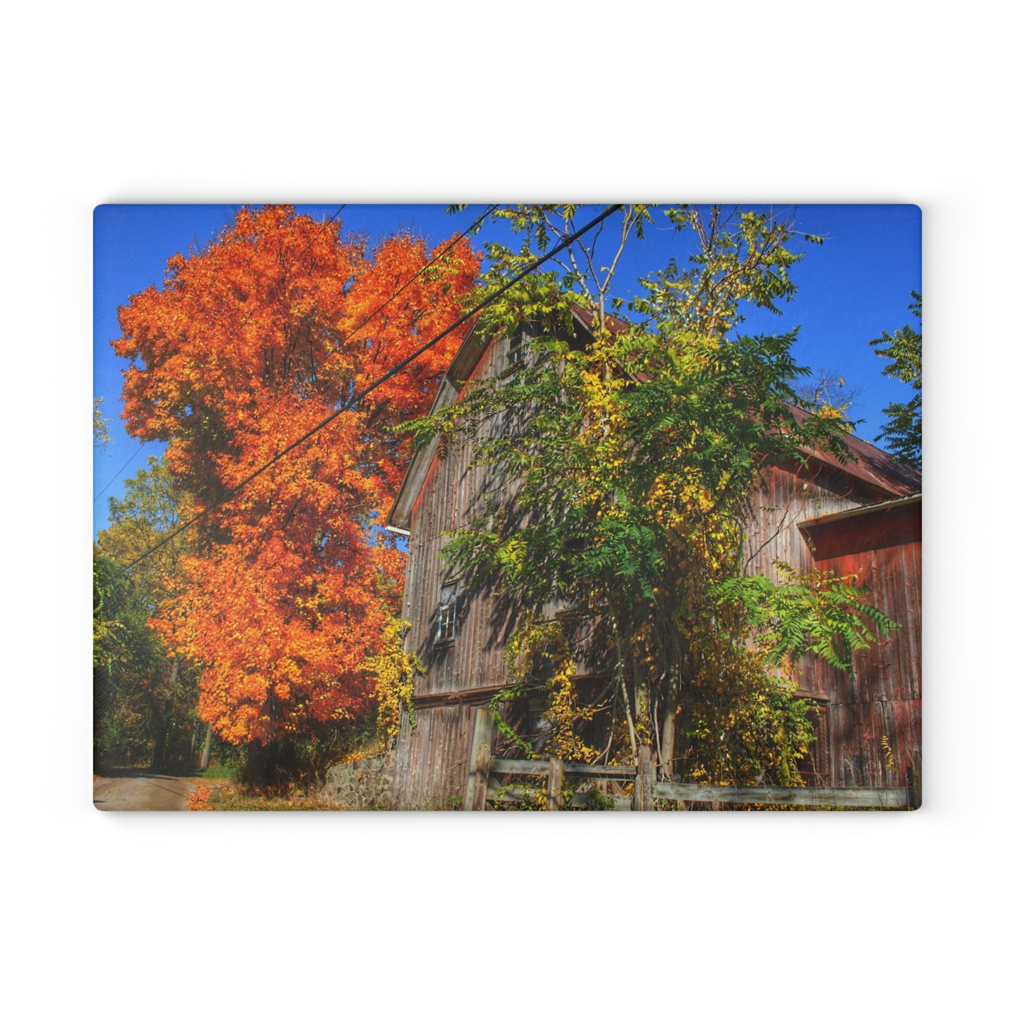 U R There Photography Oxford Rusted Red in Fall Rustic Farmhouse Tempered-Glass Cutting Board