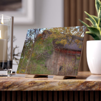 U R There Photography Annie's Barn I Rustic Farmhouse Decorative Ceramic Tile