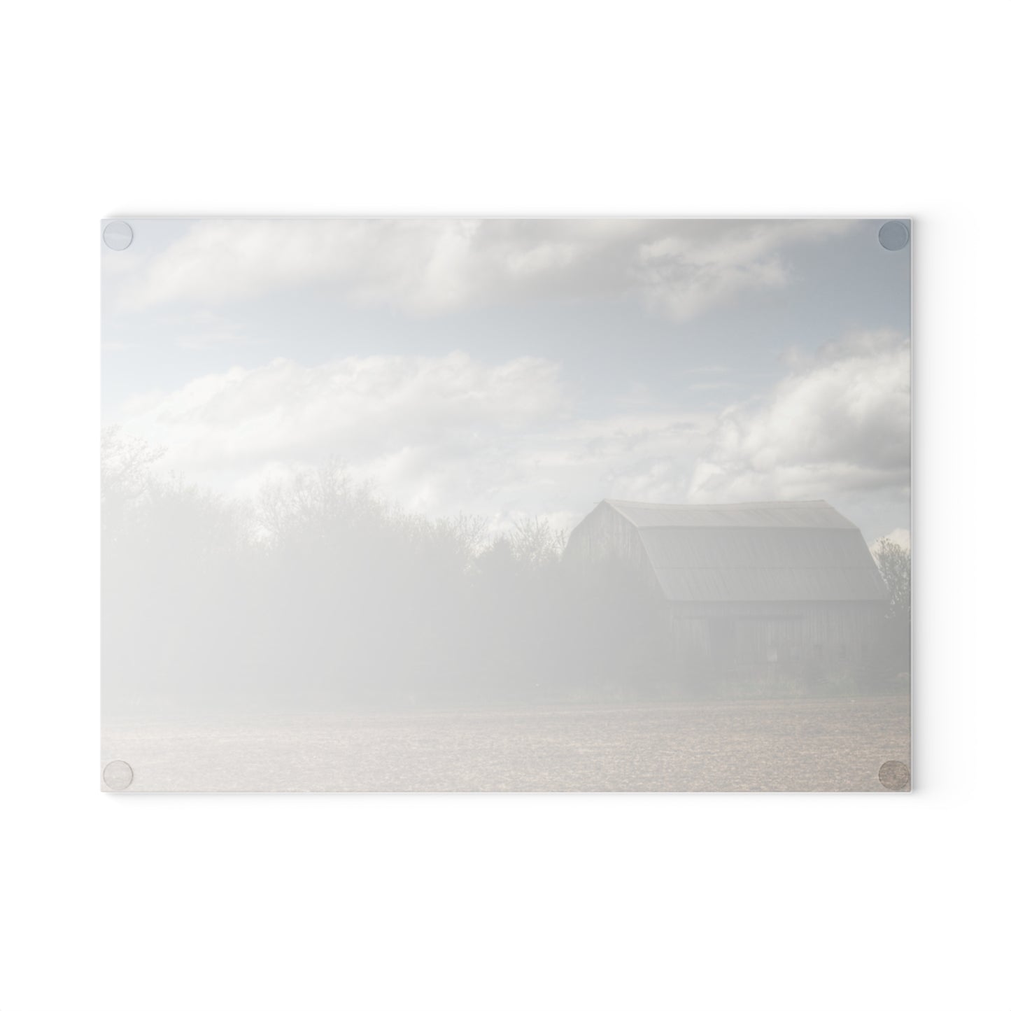 U R There Photography Sandusky Grey in the Pines Rustic Farmhouse Tempered-Glass Cutting Board