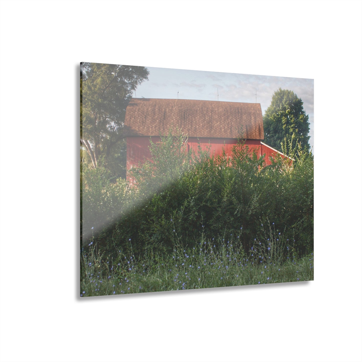 U R There Photography Genesee Road Red I Rustic Farmhouse Acrylic Wall Print