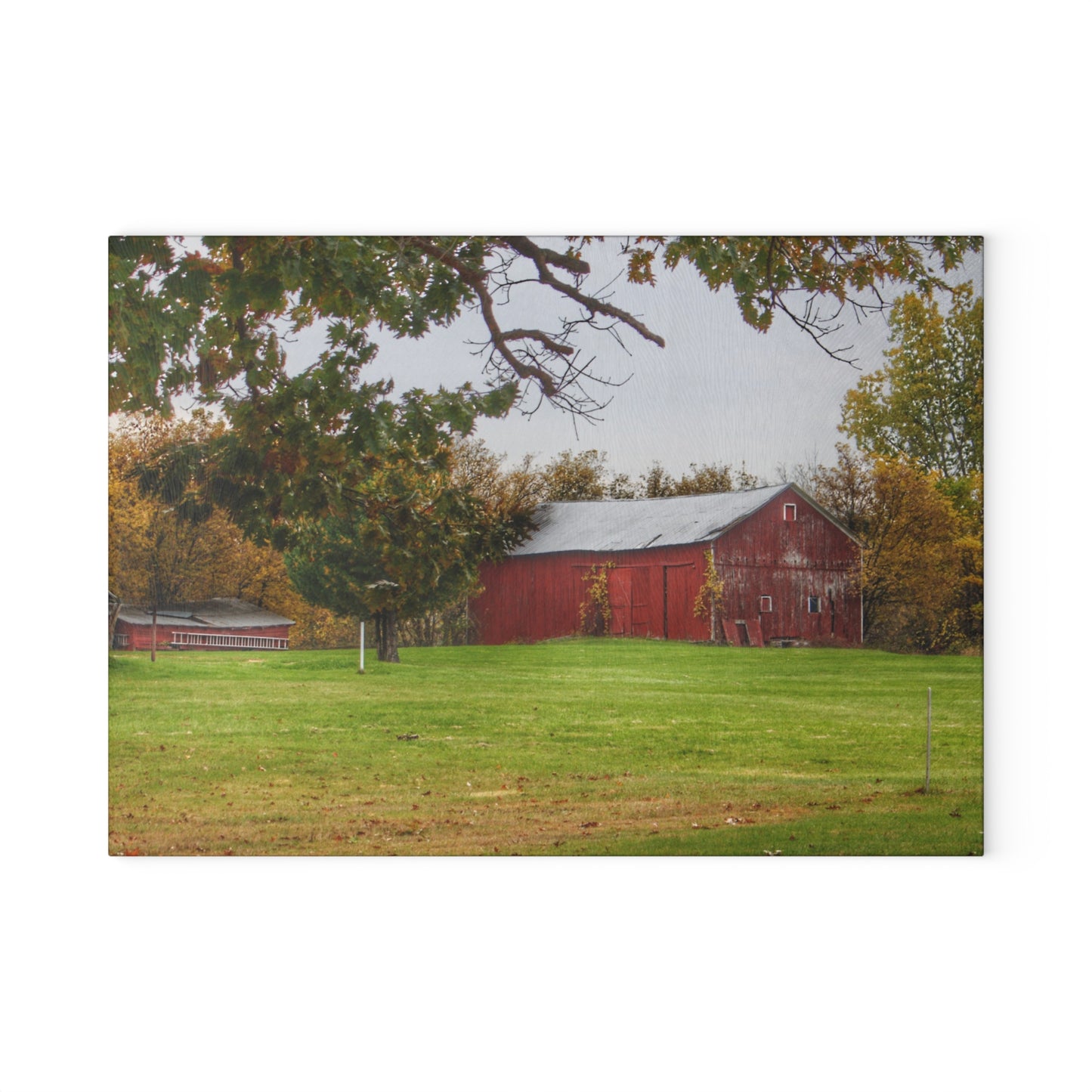U R There Photography Hill Road Roadside Red Rustic Farmhouse Tempered-Glass Cutting Board