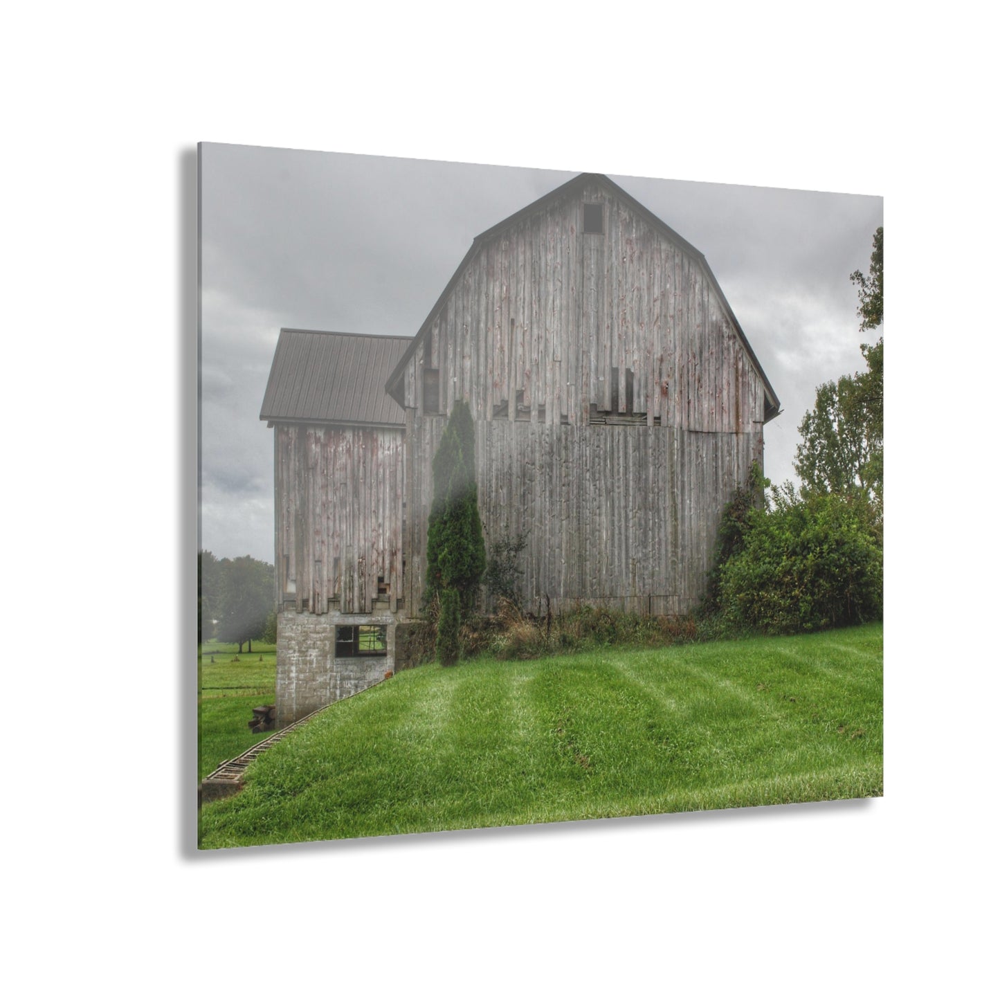 U R There Photography Dequindre Road Grey III Rustic Farmhouse Acrylic Wall Print