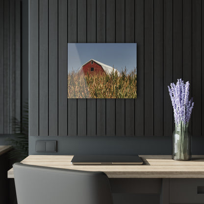 Beyond the Corn Rustic Farmhouse Acrylic Wall Print