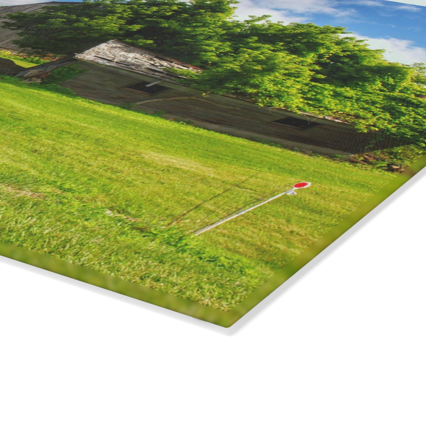 U R There Photography Brown City Road Barn and Buddy II Rustic Farmhouse Tempered-Glass Cutting Board