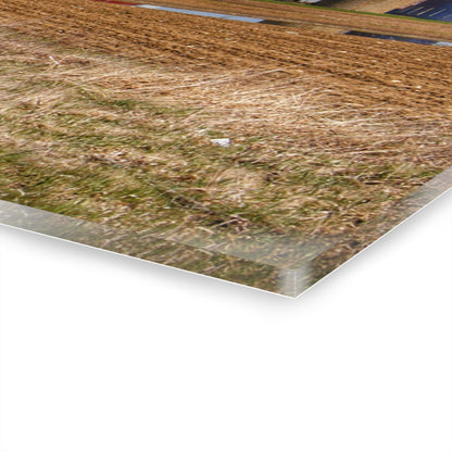 U R There Photography M-24 Northern Reds Farm Rustic Farmhouse Acrylic Wall Print