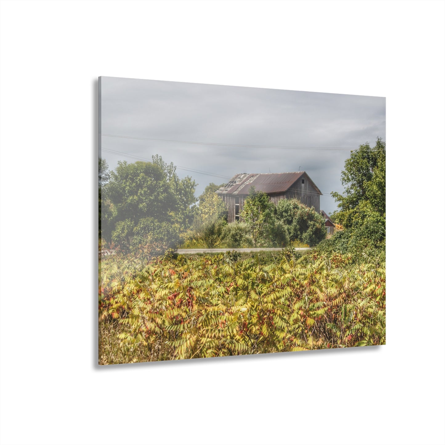 U R There Photography Van Dyke Grey Rustic Farmhouse Acrylic Wall Print