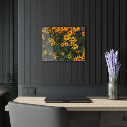 U R There Photography Black-Eyed Susan Rustic Farmhouse Acrylic Wall Print