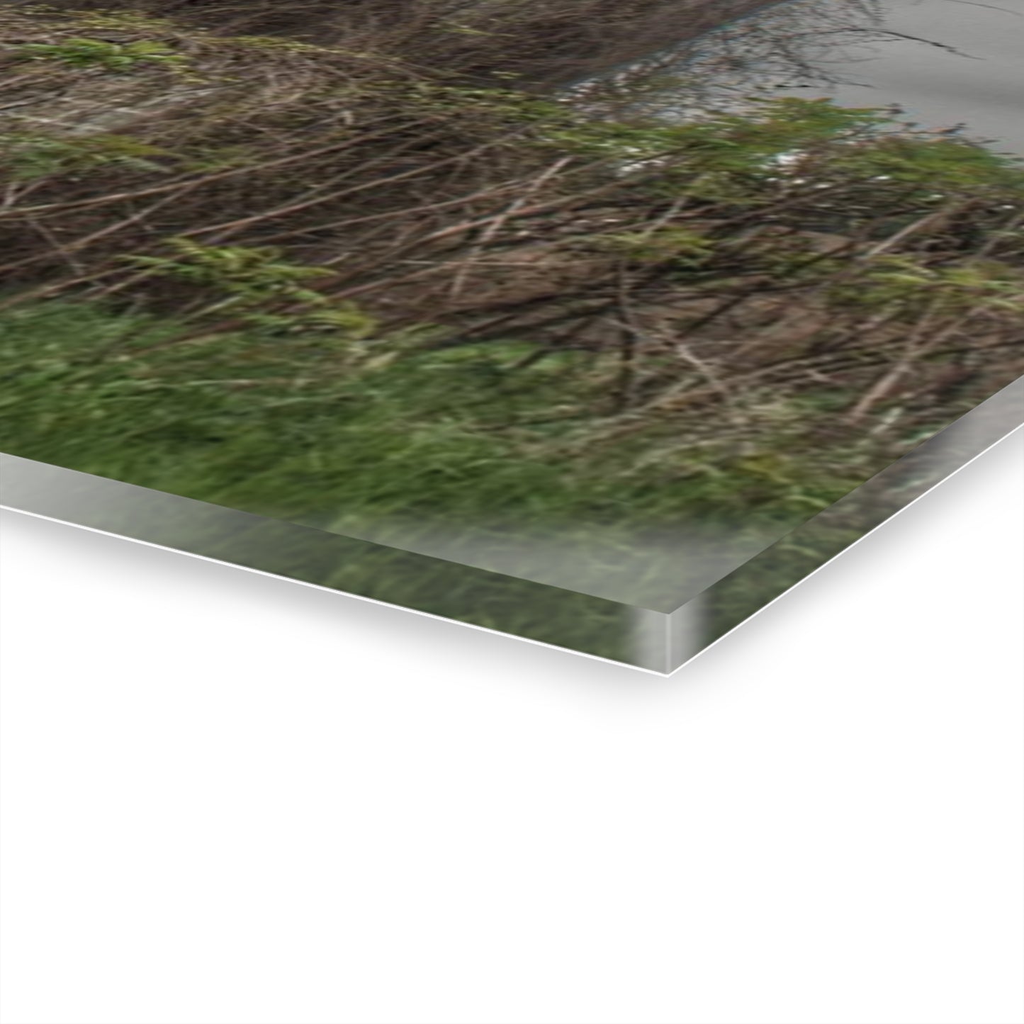 U R There Photography Metamora M-24 Grey I Rustic Farmhouse Acrylic Wall Print