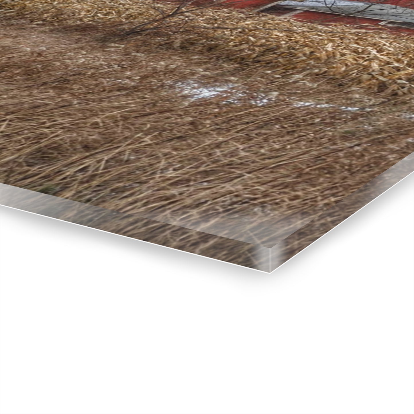 U R There Photography Edward Road Reds Rustic Farmhouse Acrylic Wall Print