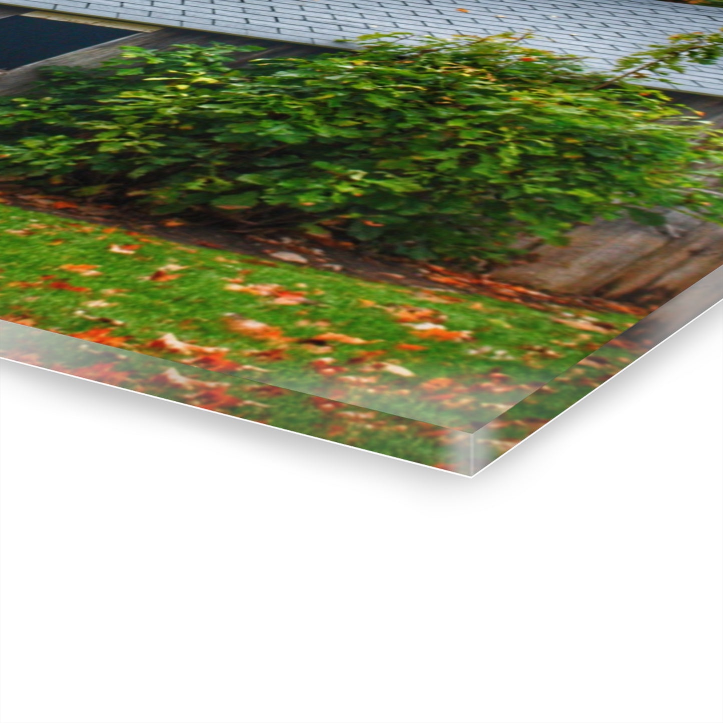 U R There Photography Grey Roadside Shack Rustic Farmhouse Acrylic Wall Print