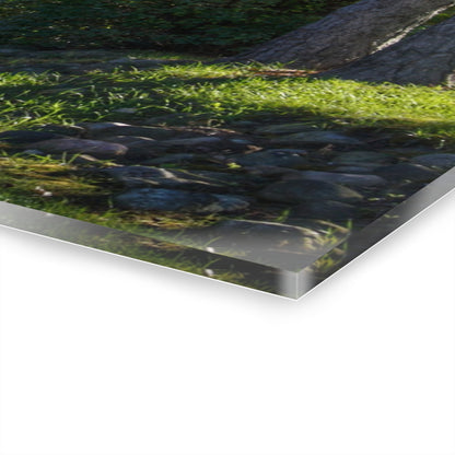 U R There Photography Hosner Road Hidden Grey Rustic Farmhouse Acrylic Wall Print