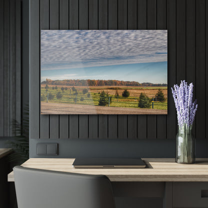 U R There Photography Fences, Firs and Fall Rustic Farmhouse Acrylic Wall Print