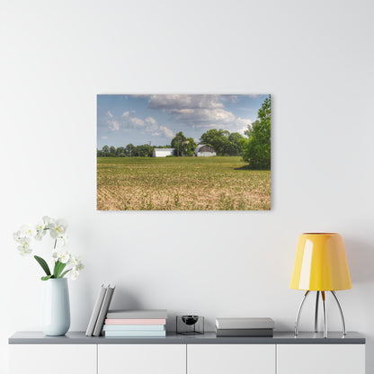 U R There Photography Willard Road White Rustic Farmhouse Acrylic Wall Print