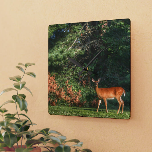 U R There Photography Mitchell Road Doe Rustic Farmhouse Acrylic Analog Wall Clock