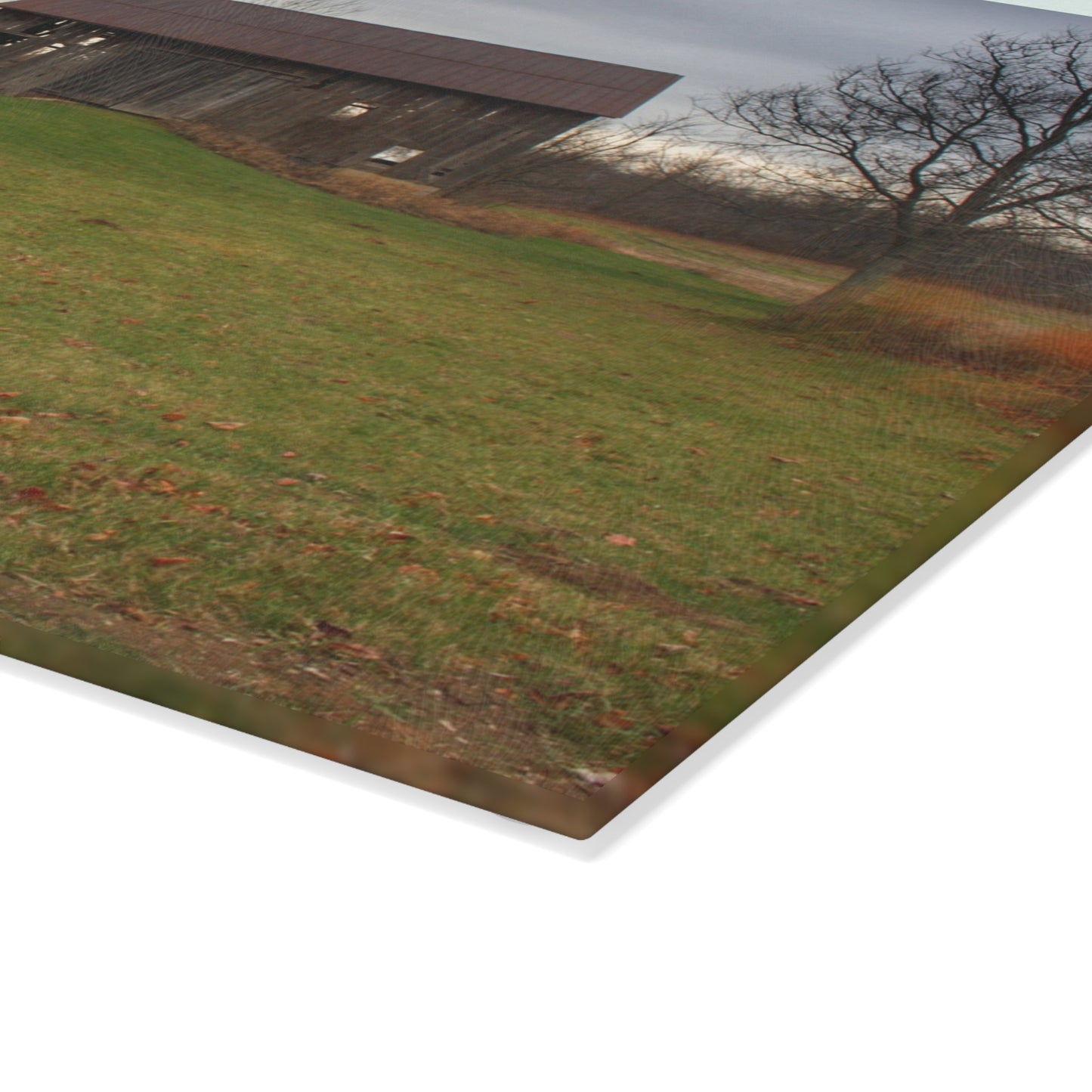 U R There Photography Roadside Greys of Carsonville Rustic Farmhouse Tempered-Glass Cutting Board