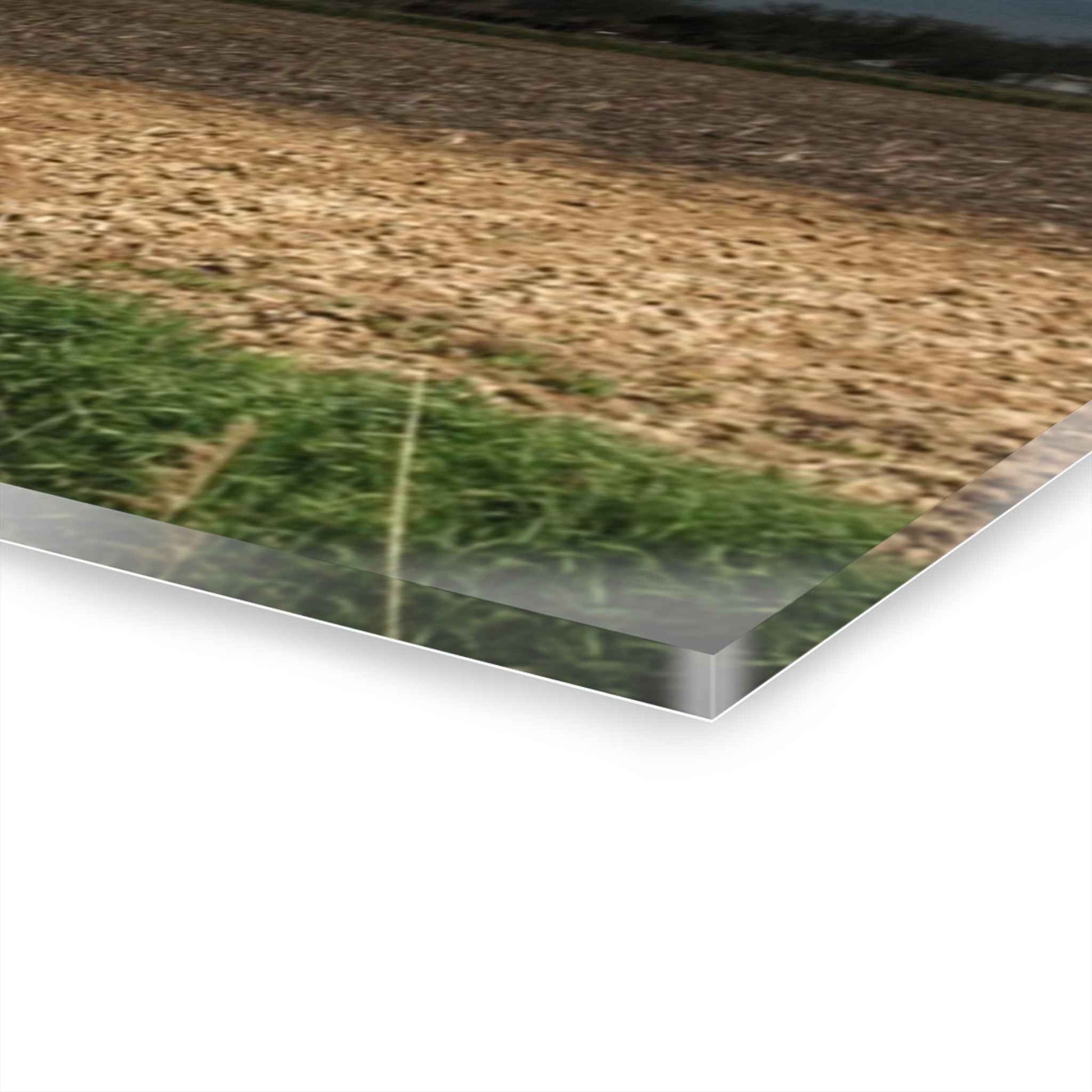 U R There Photography Sandusky Grey I Rustic Farmhouse Acrylic Wall Print