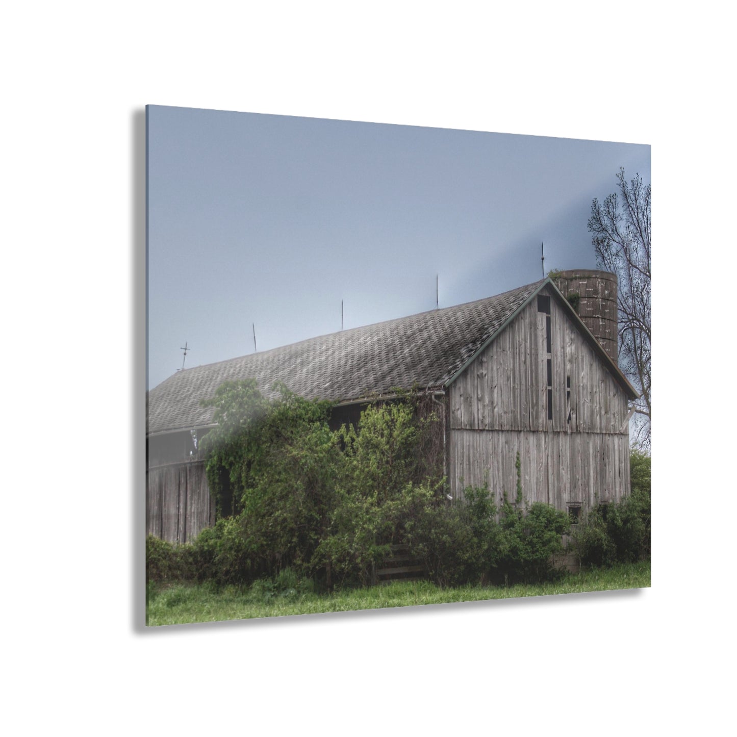 U R There Photography Wilder Road Grey I Rustic Farmhouse Acrylic Wall Print