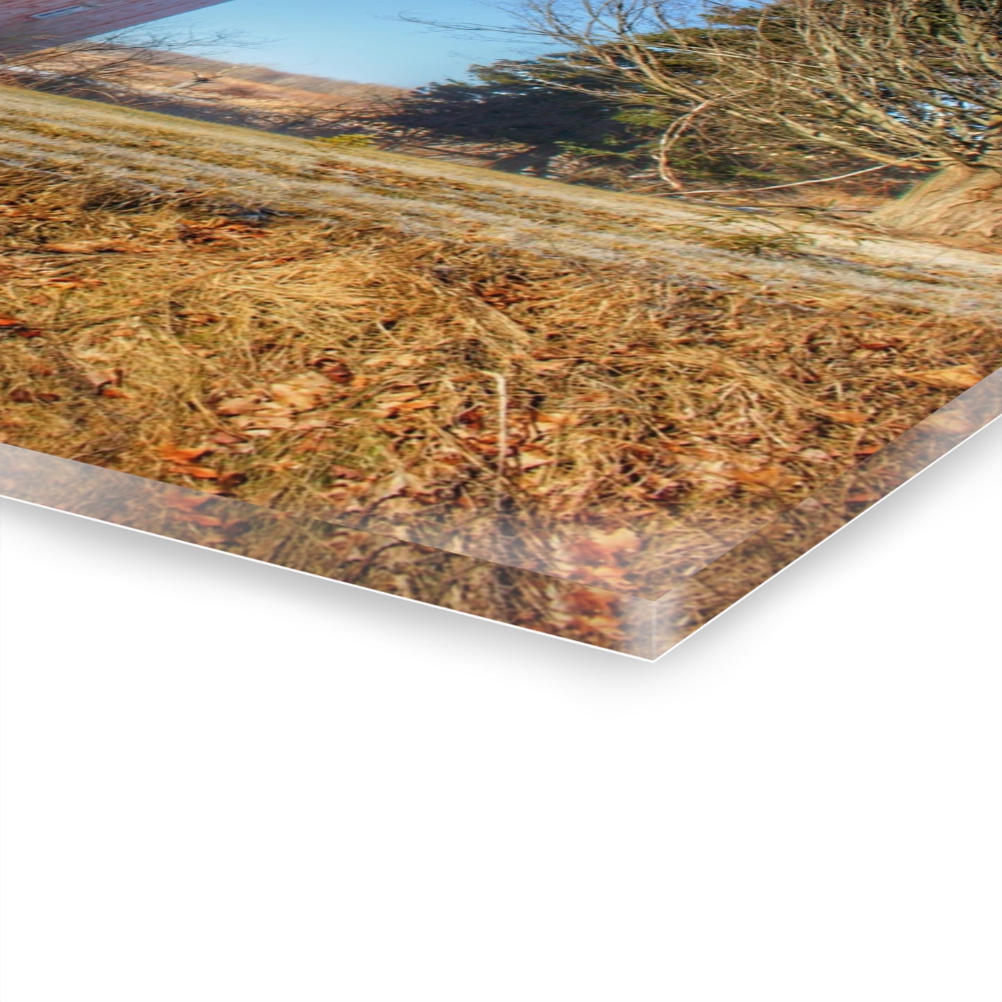 U R There Photography M-24 Barn at the Bend II Rustic Farmhouse Acrylic Wall Print