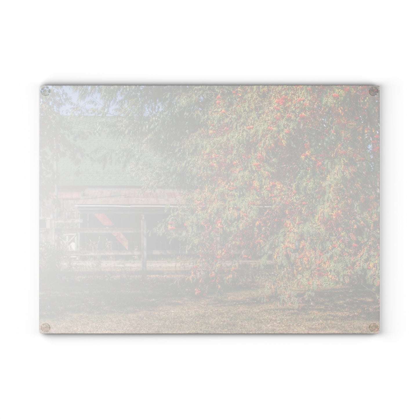 U R There Photography Farrand Road Red Coral by Flowering Tree Rustic Farmhouse Tempered-Glass Cutting Board