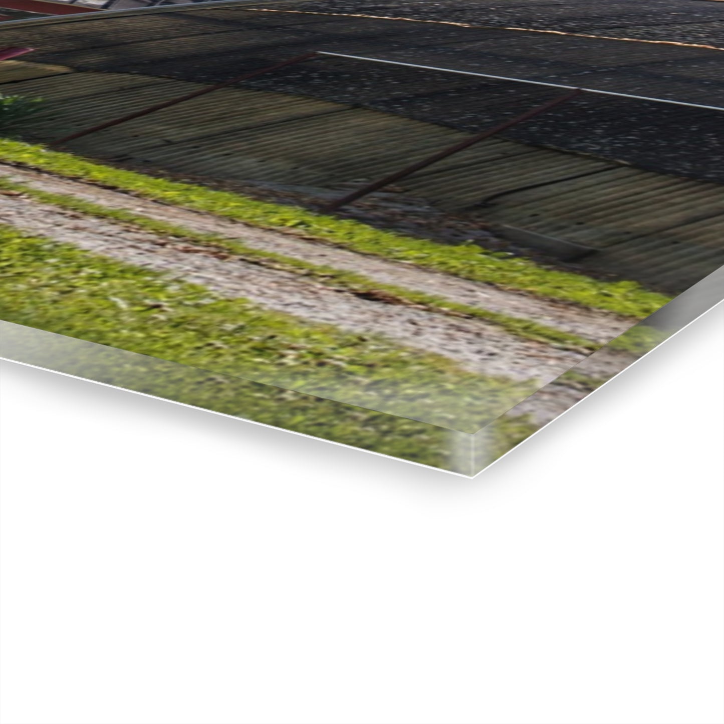 U R There Photography Hidden Reds Rustic Farmhouse Acrylic Wall Print