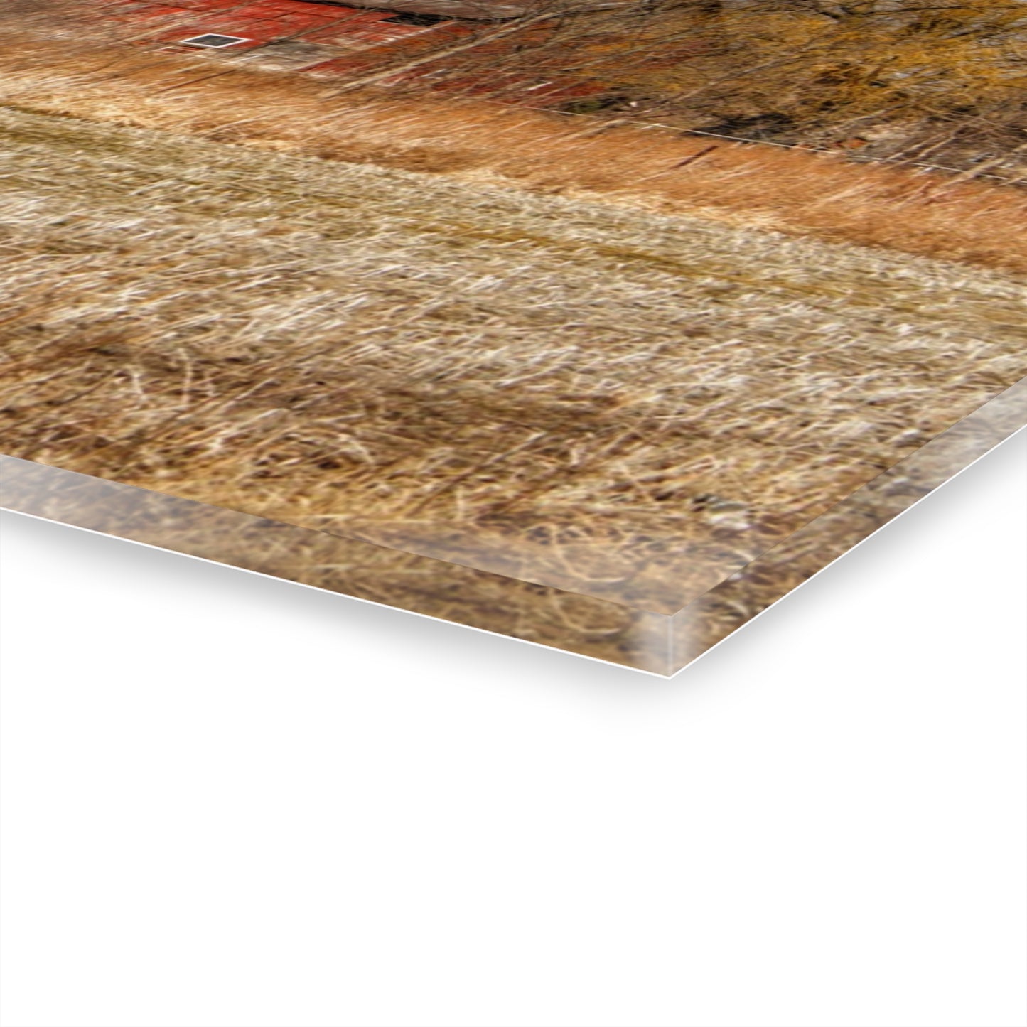 U R There Photography Hidden Scotch Settlement Red Rustic Farmhouse Acrylic Wall Print