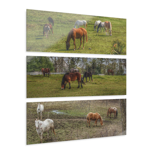 U R There Photography County Ponies Rustic Farmhouse 3-Panel Acrylic Wall Print