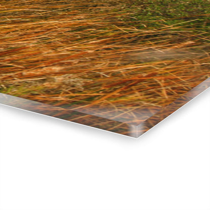 U R There Photography Murphy Lake Road Hidden Red Rustic Farmhouse Acrylic Wall Print