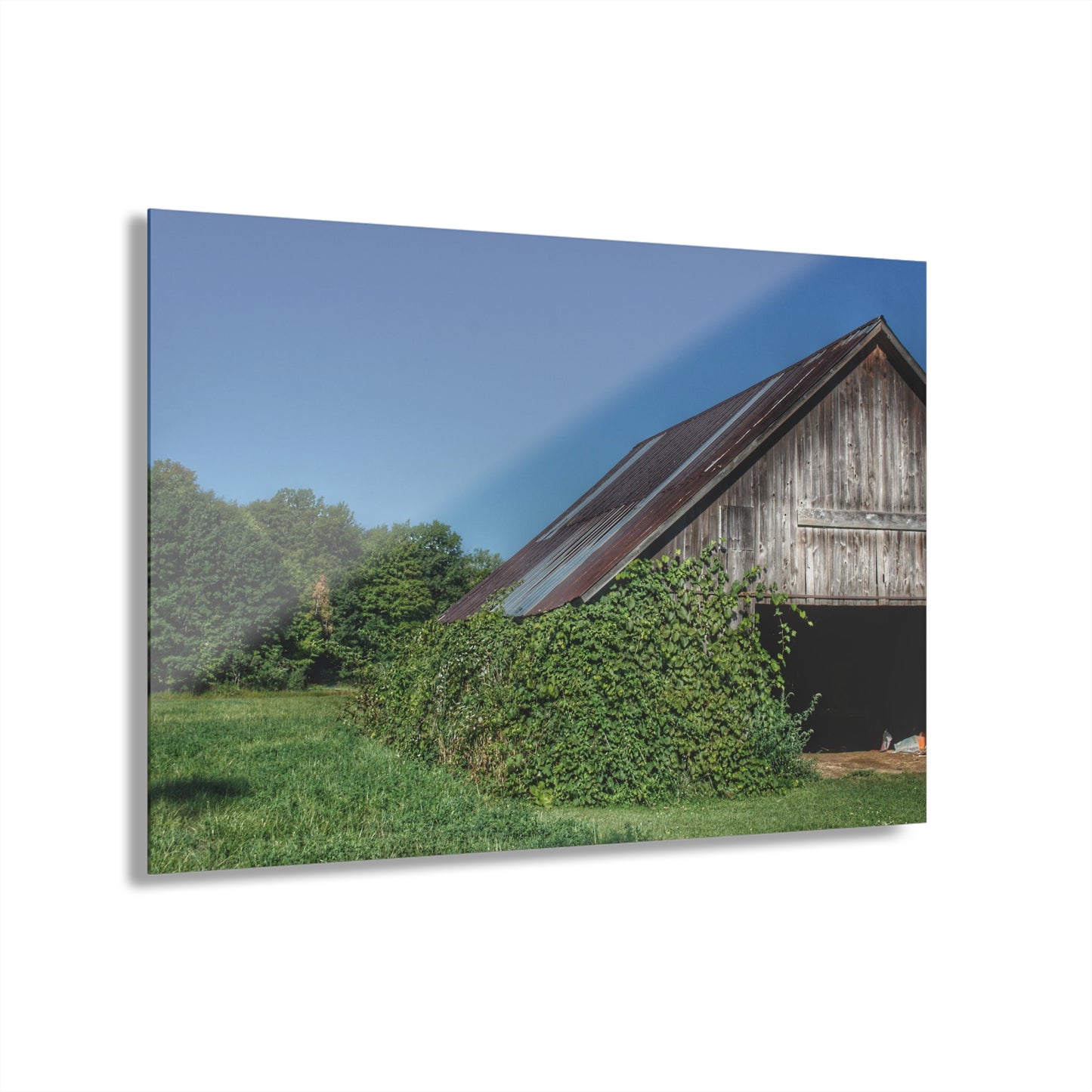 U R There Photography Grey Shack of Millington Rustic Farmhouse Acrylic Wall Print