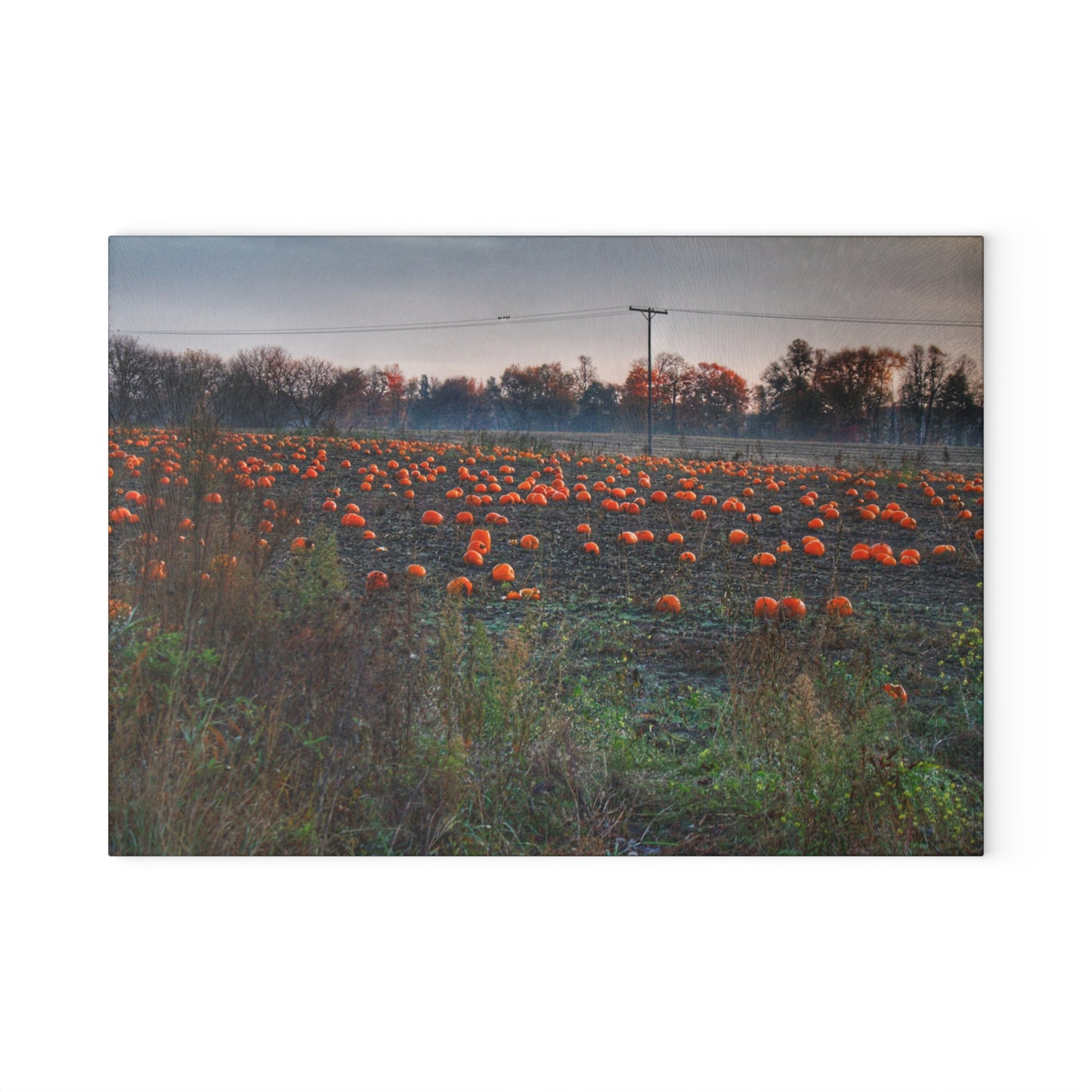 U R There Photography Five Lakes Pumpkins Rustic Farmhouse Tempered-Glass Cutting Board