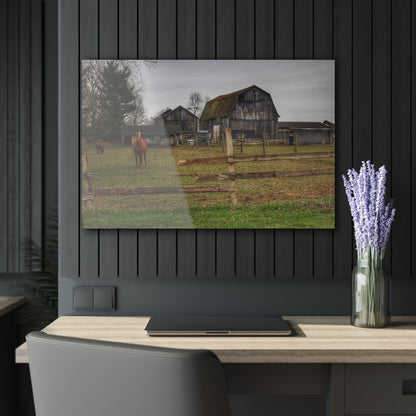 U R There Photography South Summers Road Old Grey and Caramel II Rustic Farmhouse Acrylic Wall Print