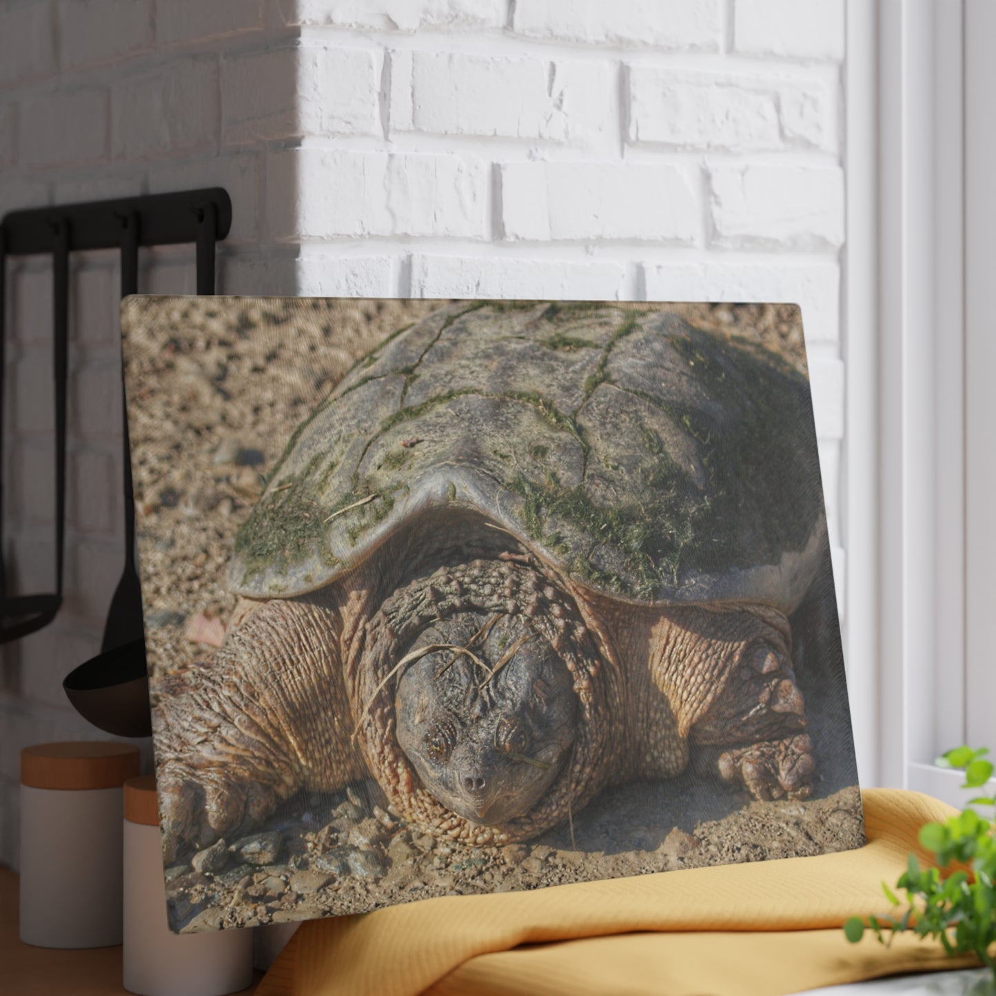 U R There Photography Fargo Road Turtle Rustic Farmhouse Tempered-Glass Cutting Board