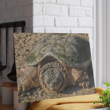 U R There Photography Fargo Road Turtle Rustic Farmhouse Tempered-Glass Cutting Board