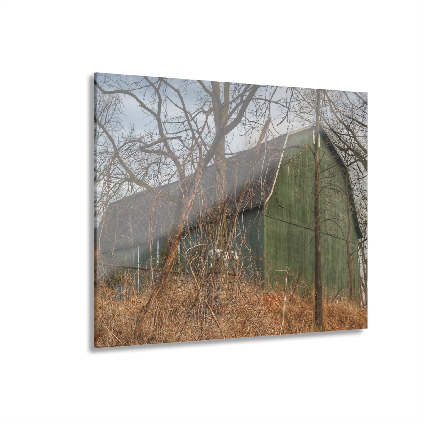 U R There Photography Yale Road Hidden Green Rustic Farmhouse Acrylic Wall Print