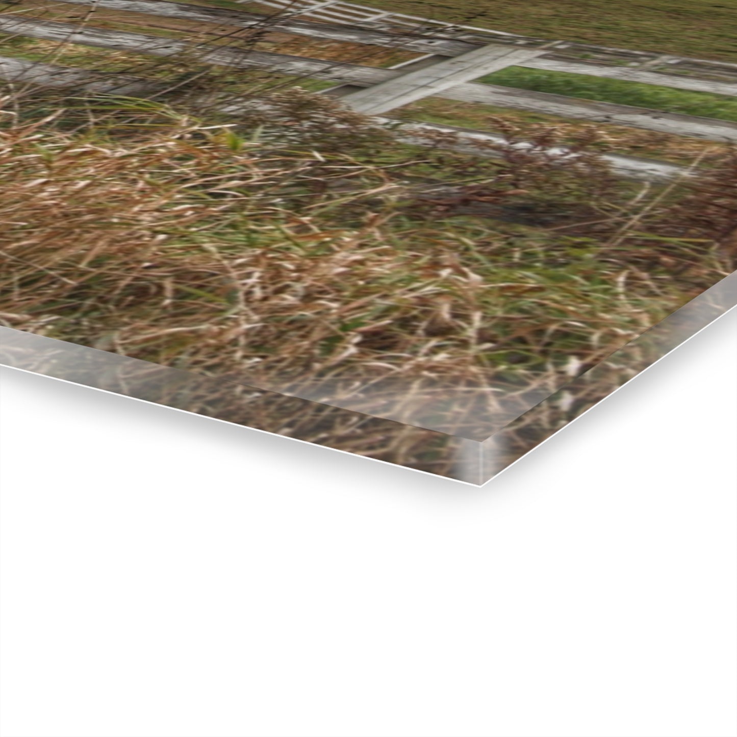 U R There Photography Millville Road Horses on the Hill Rustic Farmhouse Acrylic Wall Print