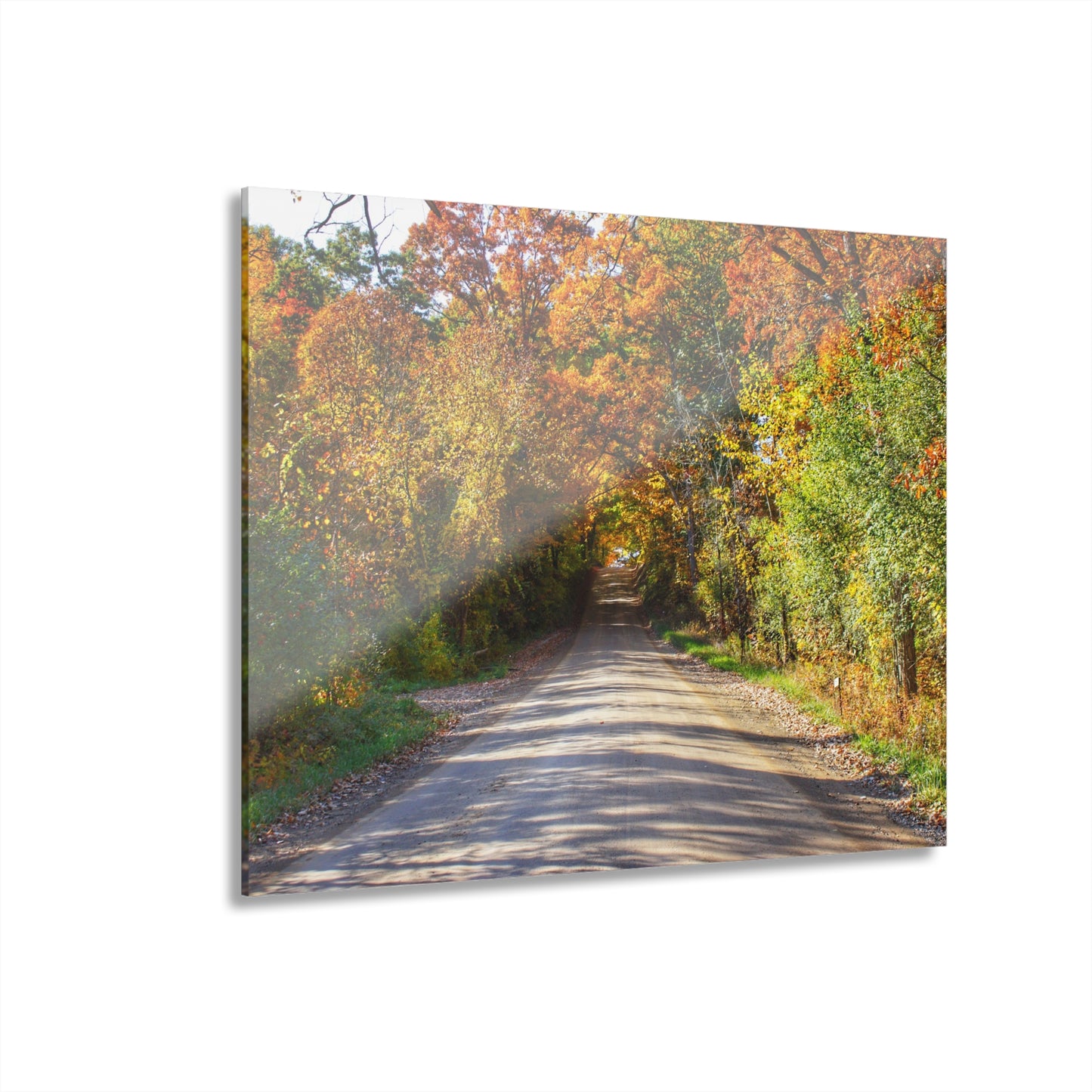 U R There Photography Harson Road in Fall II Rustic Farmhouse Acrylic Wall Print