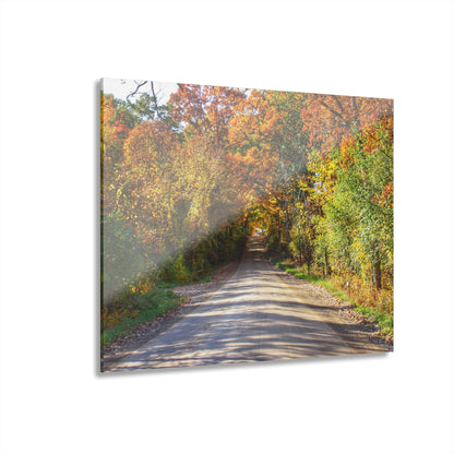 U R There Photography Harson Road in Fall II Rustic Farmhouse Acrylic Wall Print