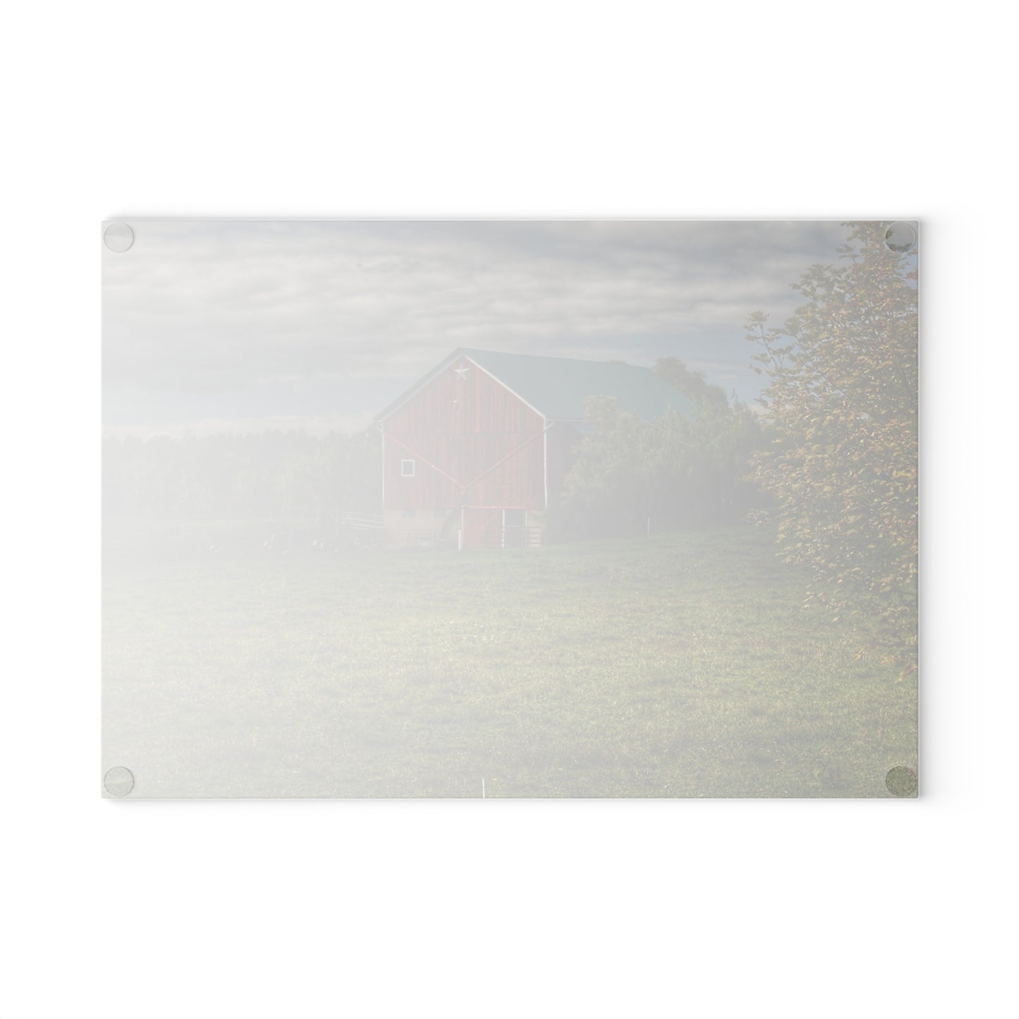 U R There Photography Kingston Plain Road Cow Barn Rustic Farmhouse Tempered-Glass Cutting Board