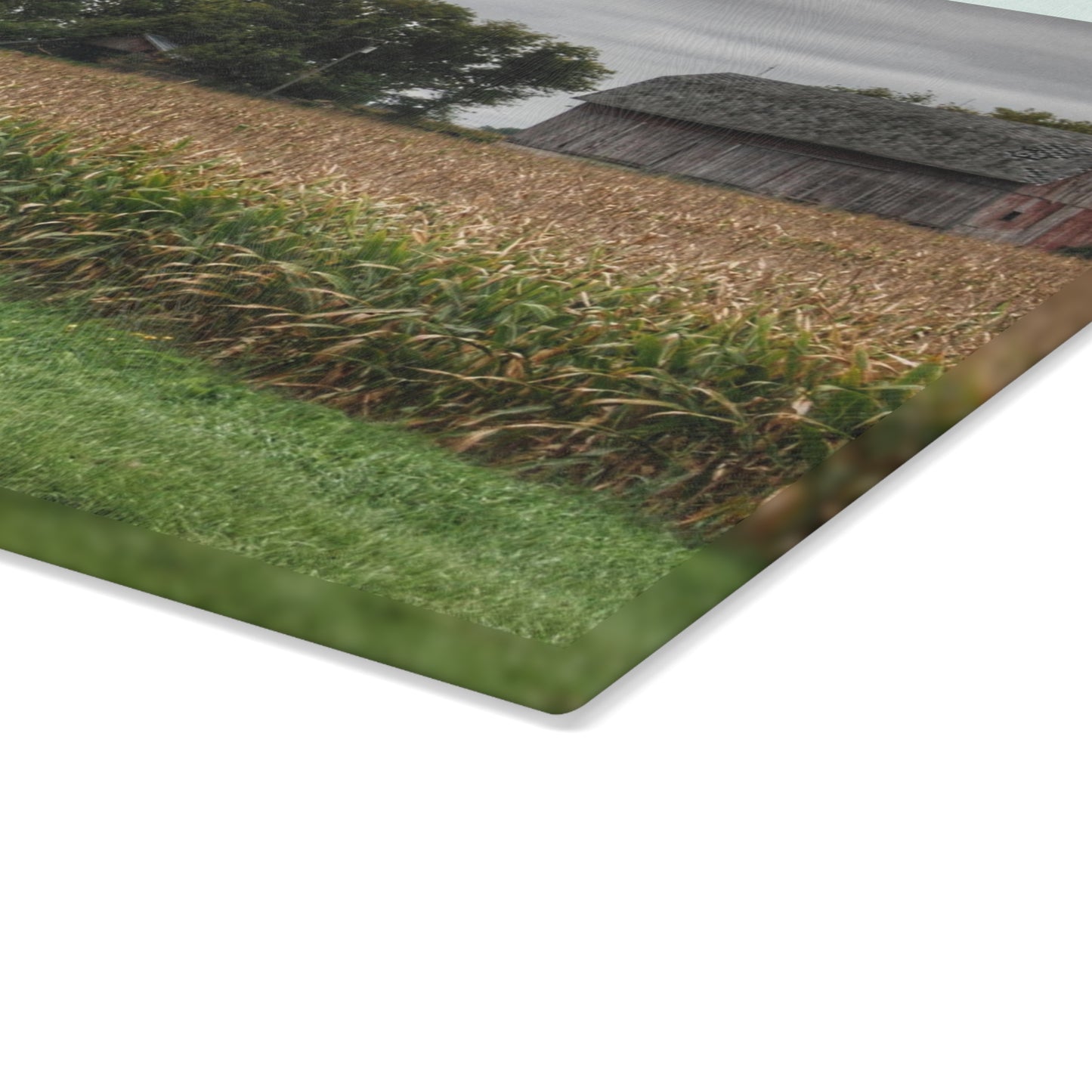 U R There Photography East Caro Road Reds Rustic Farmhouse Tempered-Glass Cutting Board