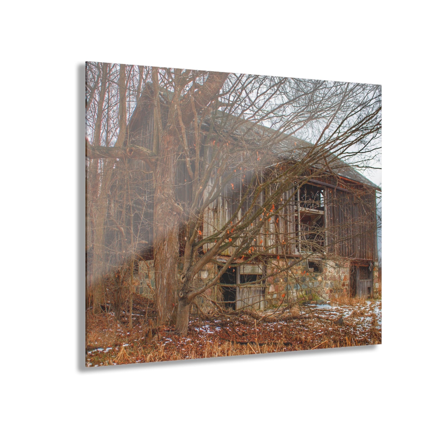 U R There Photography Norway Lake Hidden Grey II Rustic Farmhouse Acrylic Wall Print