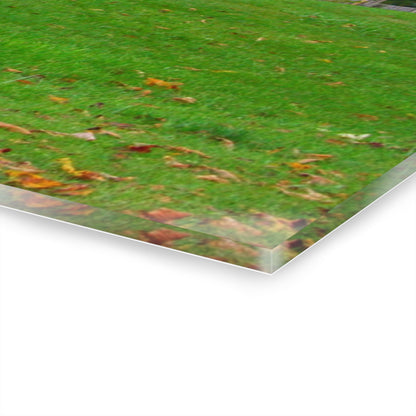 U R There Photography Frances Road Old Red II Rustic Farmhouse Acrylic Wall Print