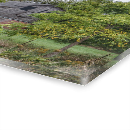 U R There Photography Hayes Road Hidden I Rustic Farmhouse Acrylic Wall Print